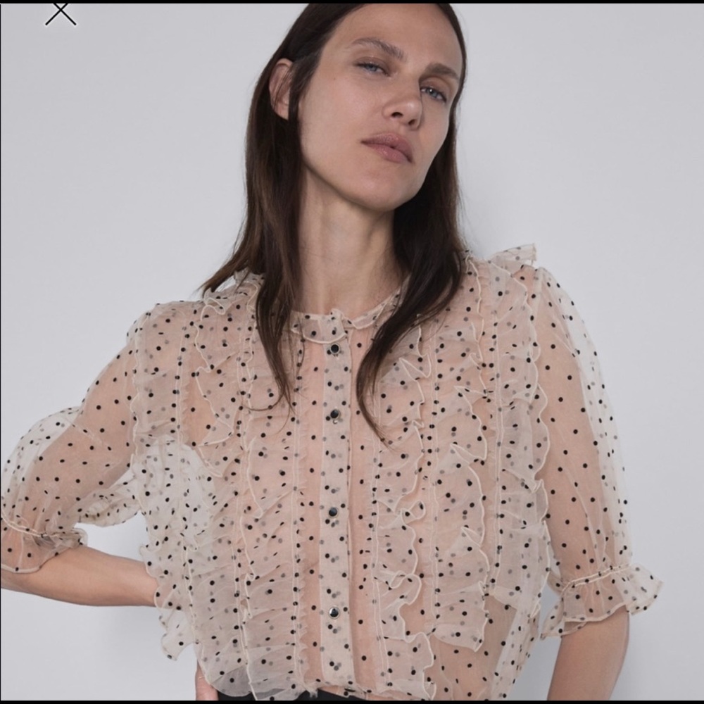 Zara Polka Dot Organza Blouse